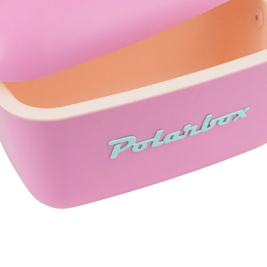 Polarbox 20 lt. Rosa barbie Azzurro - Glacette vintage - Portavivande termico picnic