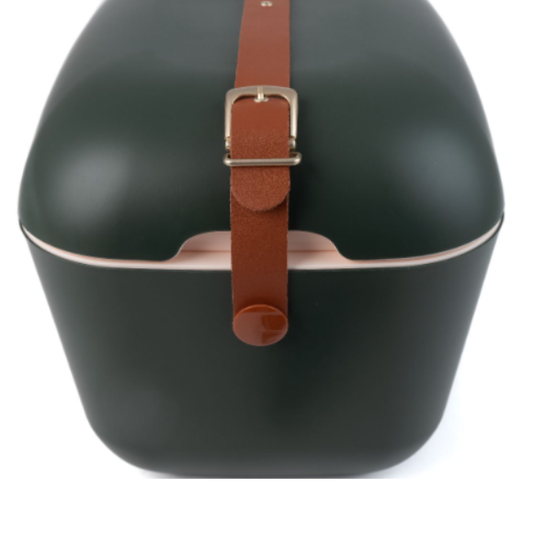 Polarbox 20 Lt Green Forest - Glacette Vintage - Portavivande termico picnic